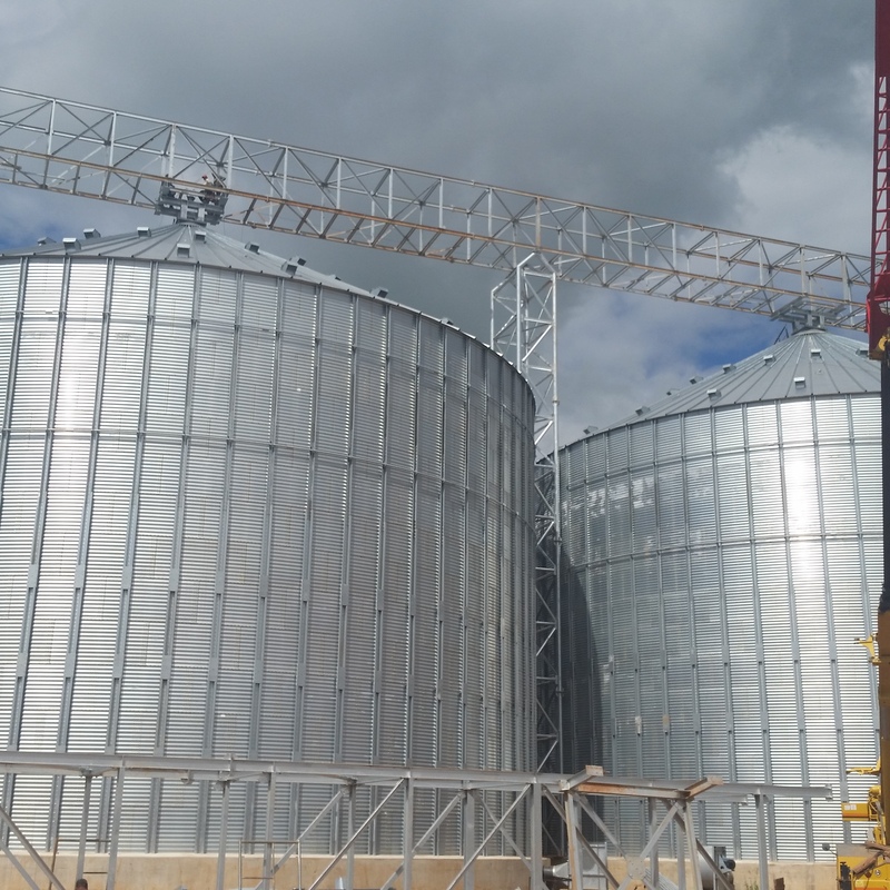 Construccion de Silos para la industria aceitera